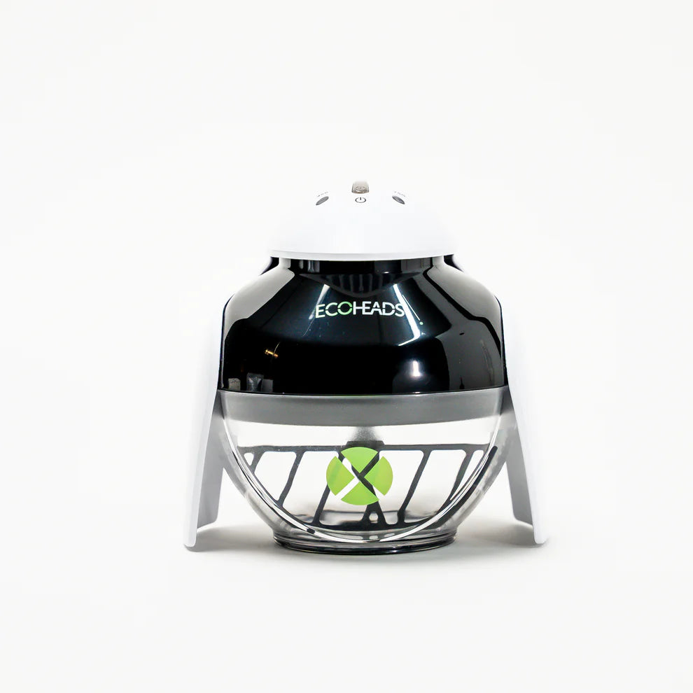ECOHEADS The Ping X