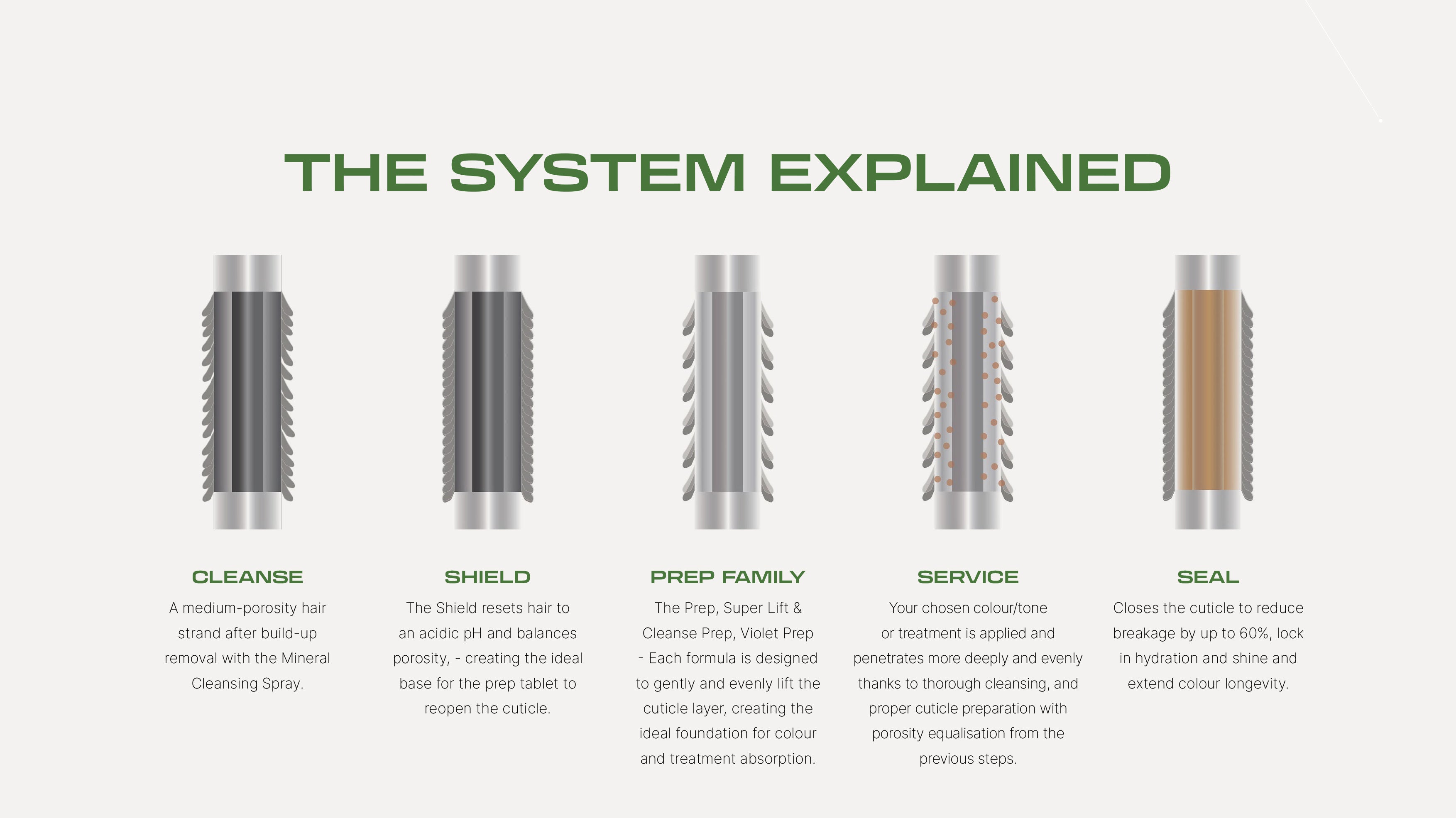 ECOHEADS -POD 'The System"  Opening Package 2