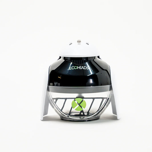 ECOHEADS The Ping X
